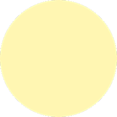 Çınar Koltuk Yıkama